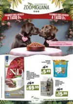 Zoomiguana Volantino Zoomiguana - al 08.03.2026