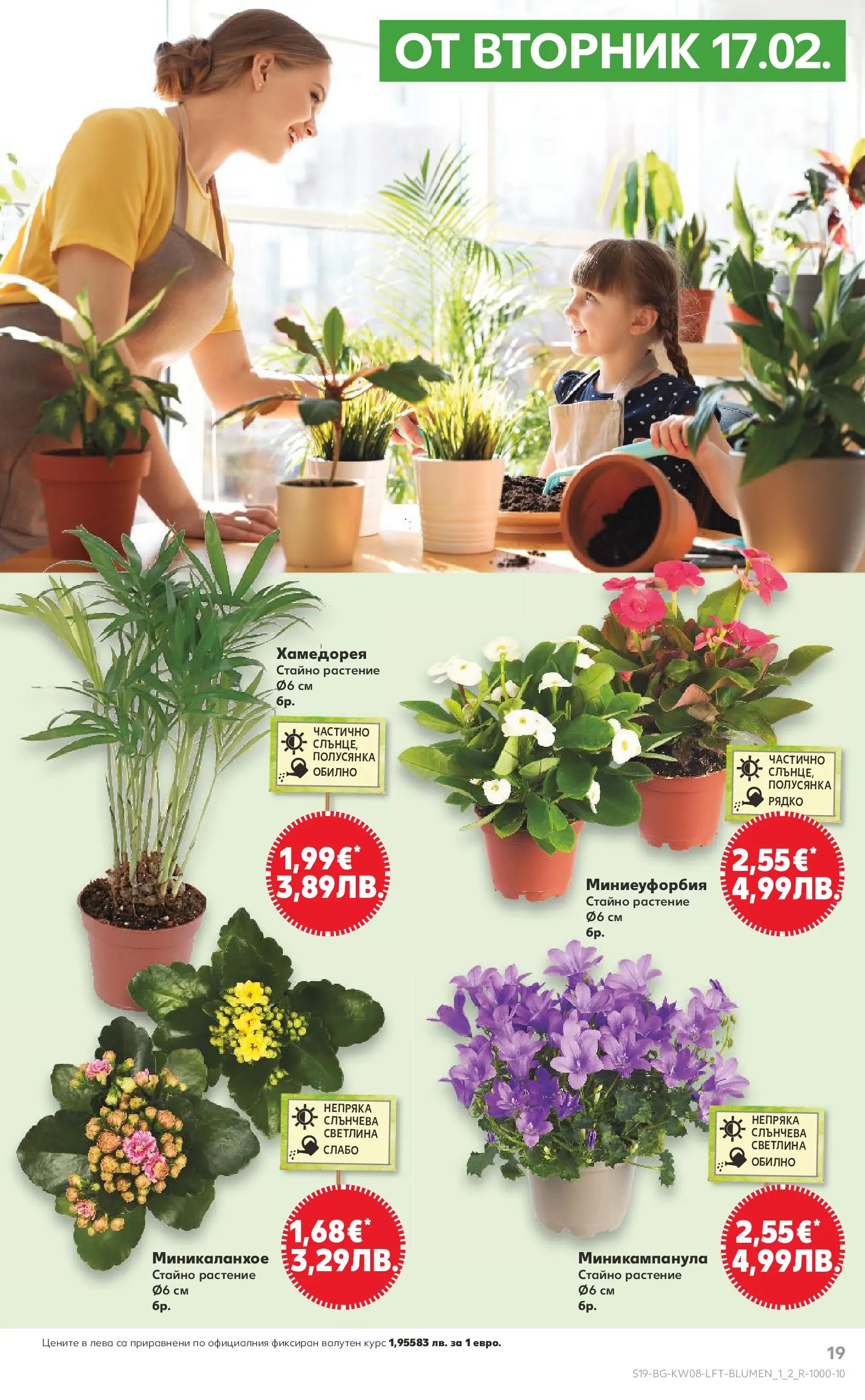 Нова Кауфланд брошура от 15.02.2026 | Страница: 19 Нова Кауфланд - МЕГА изгодни цени в твоя Kaufland с валидност до 22.02.2026 от 15.02.2026 | Страница: 19