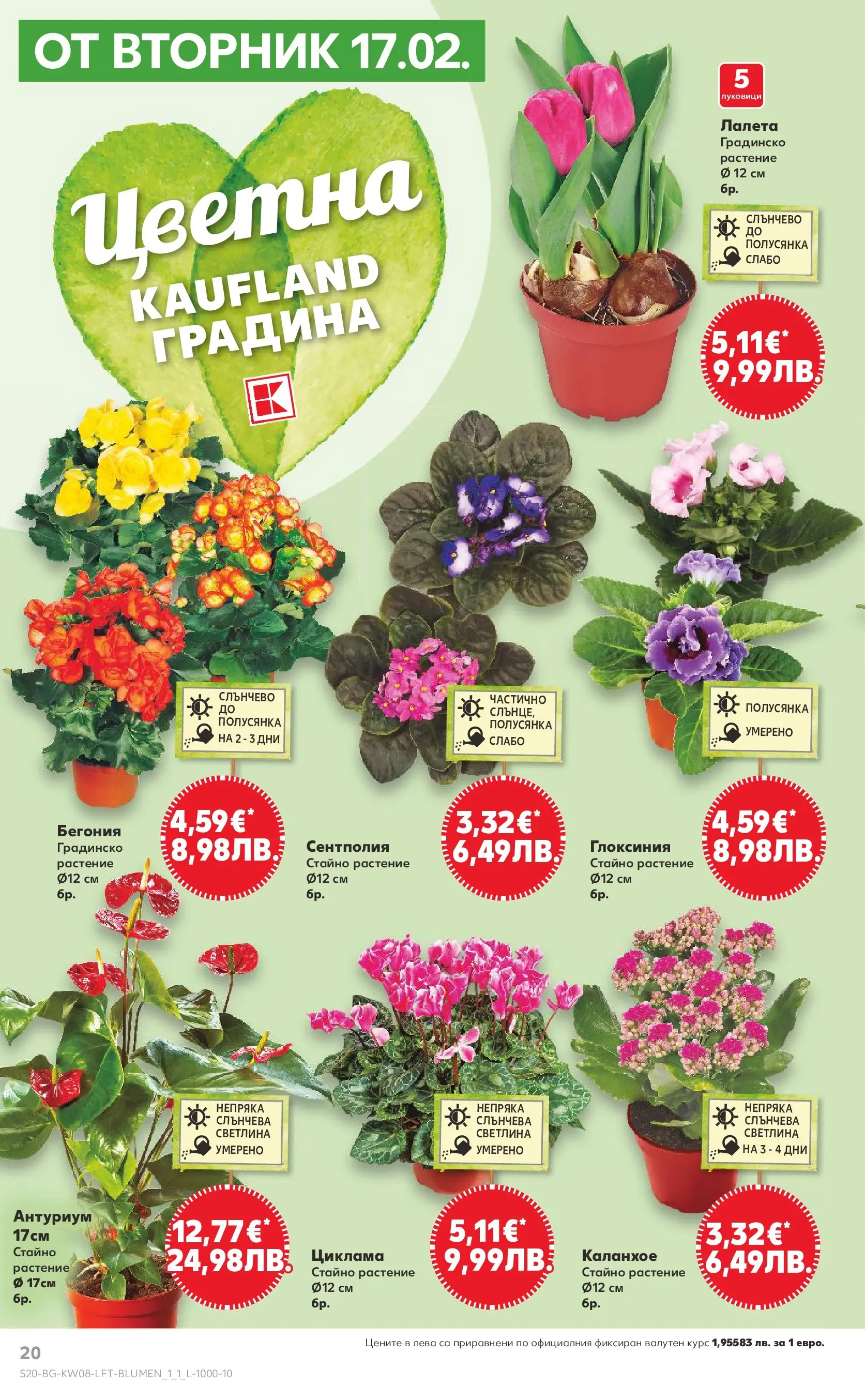 Нова Кауфланд - МЕГА изгодни цени в твоя Kaufland с валидност до 22.02.2026 от 15.02.2026 | Страница: 20