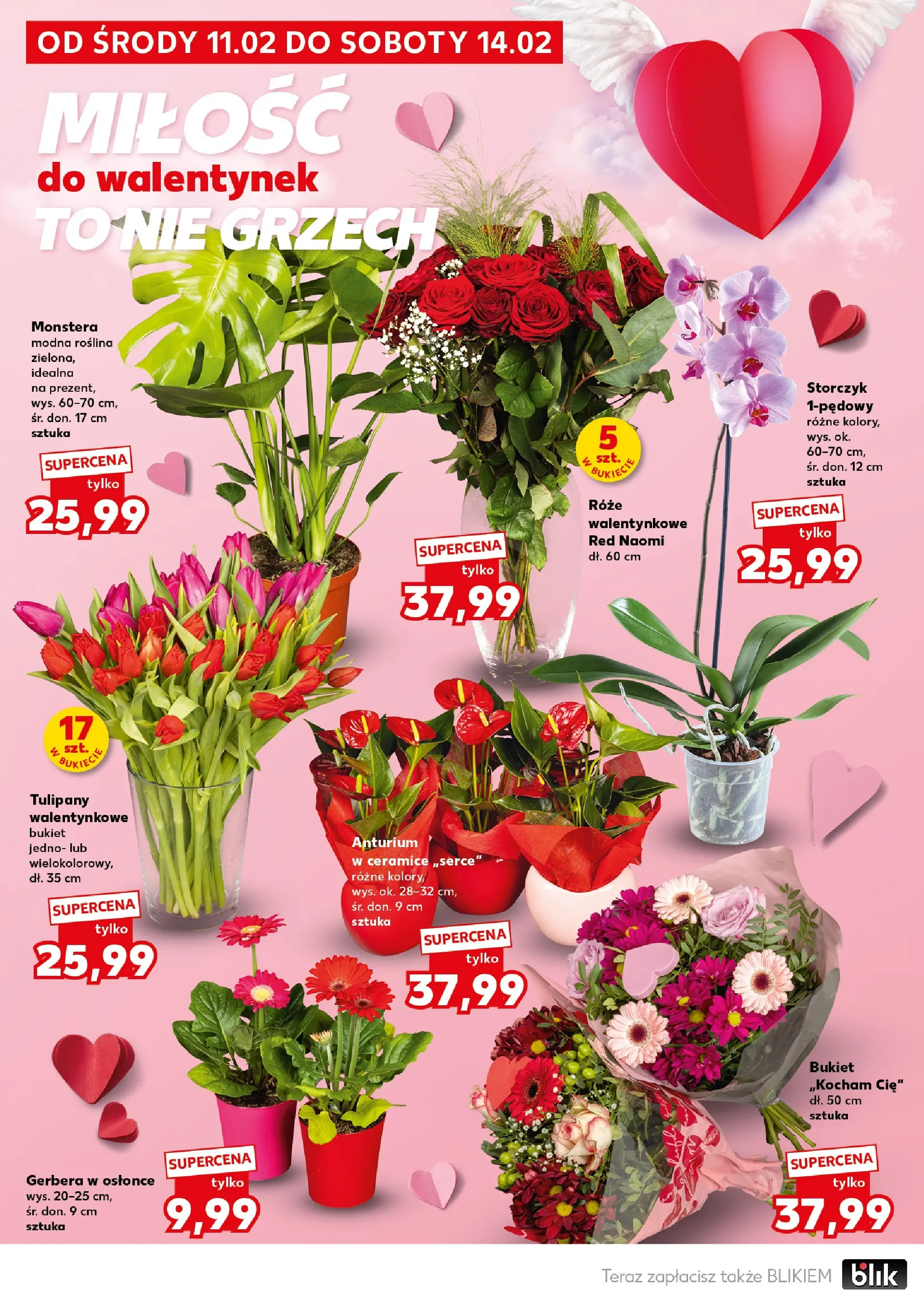 Kaufland gazetka - Super Sobota od 14.02.2026 - od jutra PDF | Strona: 4 | Produkty: Storczyk, Tulipany