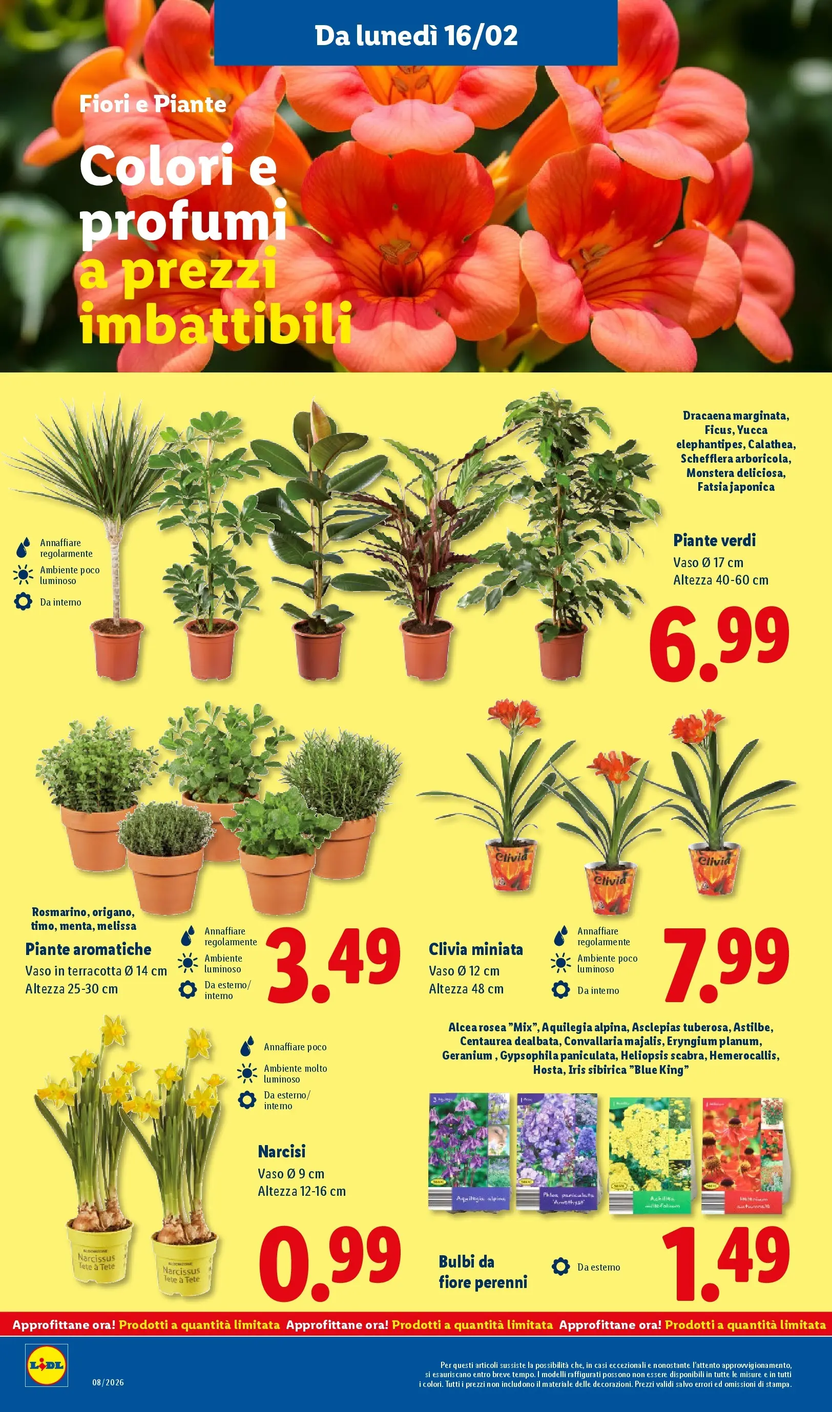 LIDL volantino della prossima settimana dal ﻿12/02/2026﻿ 📣 | Pagina: 50 | Prodotti: Vaso