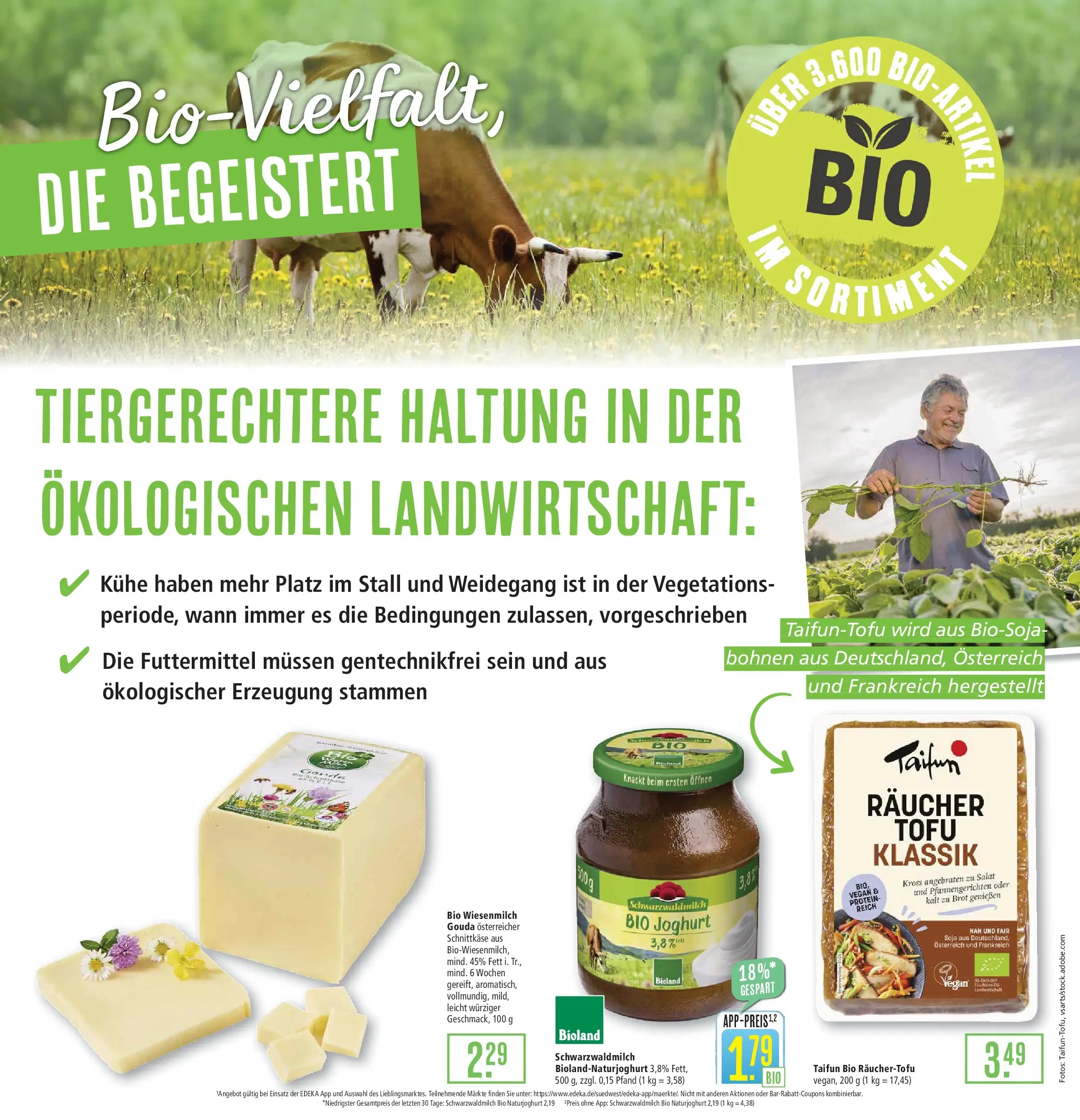 Marktkauf - Marktkauf: Wochenangebote (ab 16.02.2026) » Angebote online | Seite: 5 | Produkte: Joghurt, Gouda, Brot, Salat