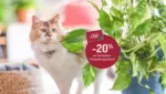 Botanic Du vendredi 13 au dimanche 15 f&eacute;vrier inclus, profitez de -20% sur toute l'animalerie & le jardin aquatique - au 15.02.2026