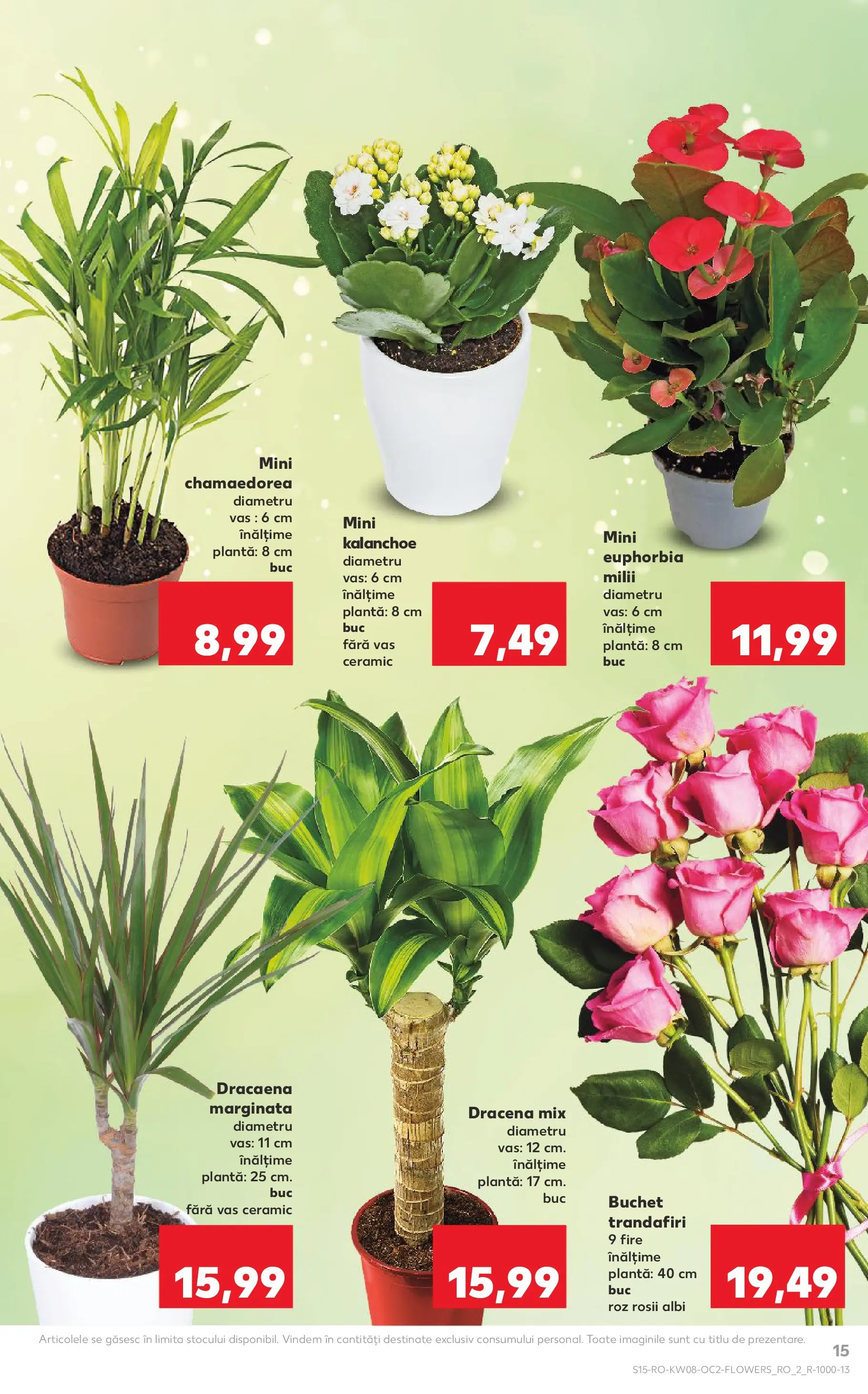 Catalog Kaufland - Domnesti 18.02.2026 - Revista si Oferta | Pagină: 15