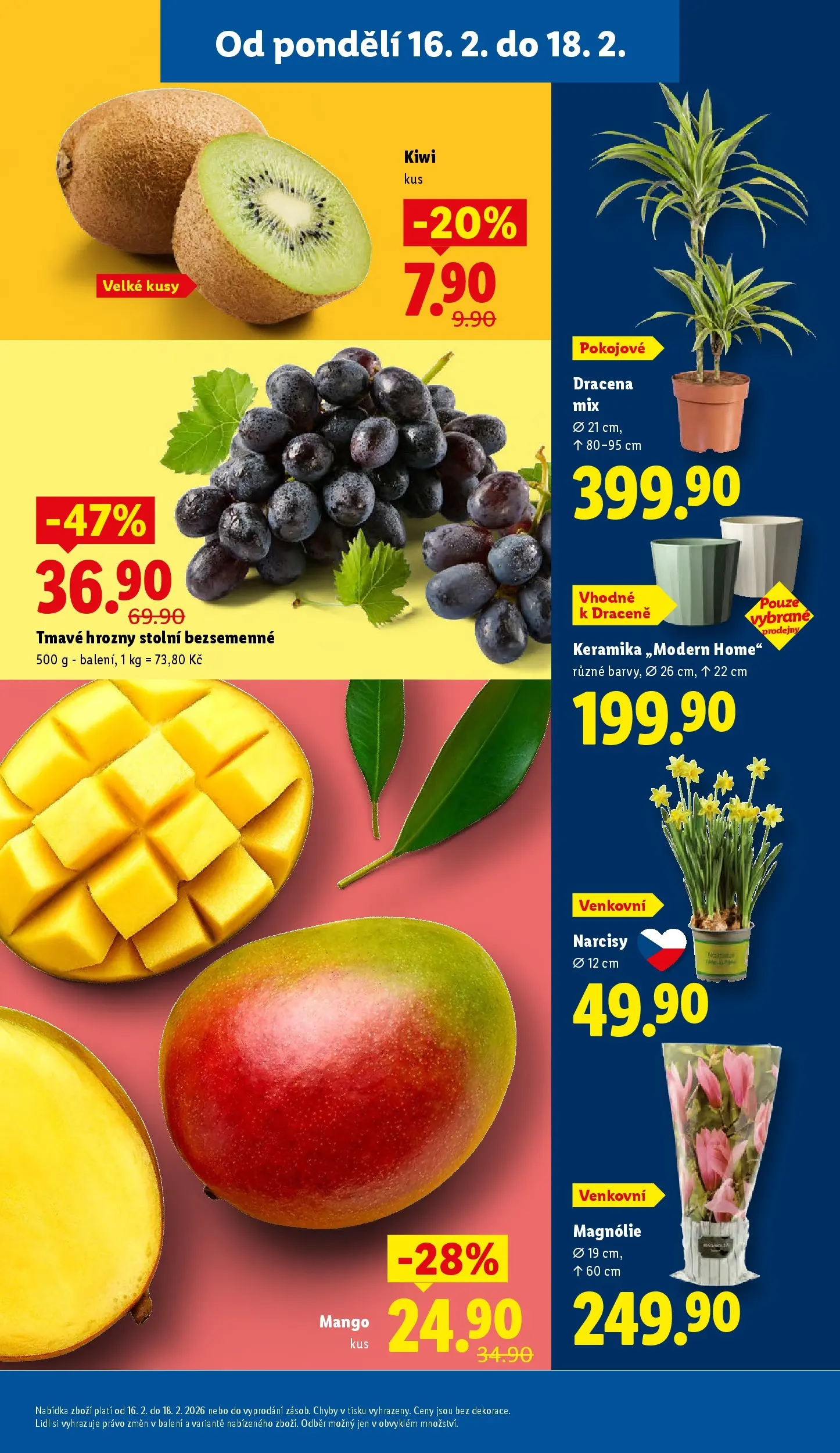 Lidl leták od 15.02.2026 - Nový akční leták | Strana: 11 | Produkty: Mango, Kiwi, Hrozny