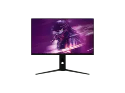 PEAQ PMO G250-FFK-180 25" FHD 180Hz Flat 25 Zoll Gaming Monitor, Full-HD, 1 ms Reaktionszeit, 300 cd/m&sup2;, 180 Hz, Schwarz