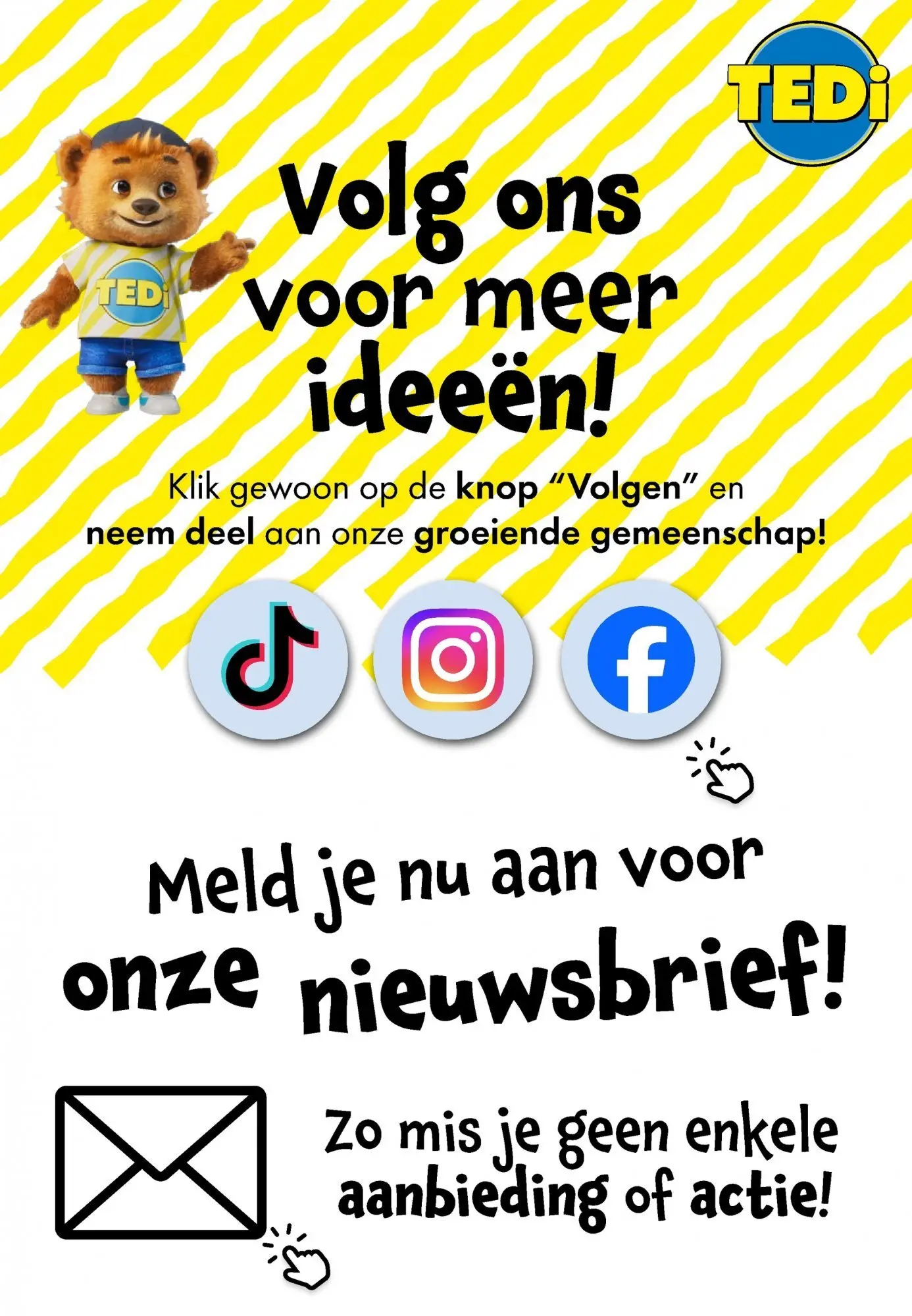 TEDi folder vanaf 15/02/2026 | Pagina: 12