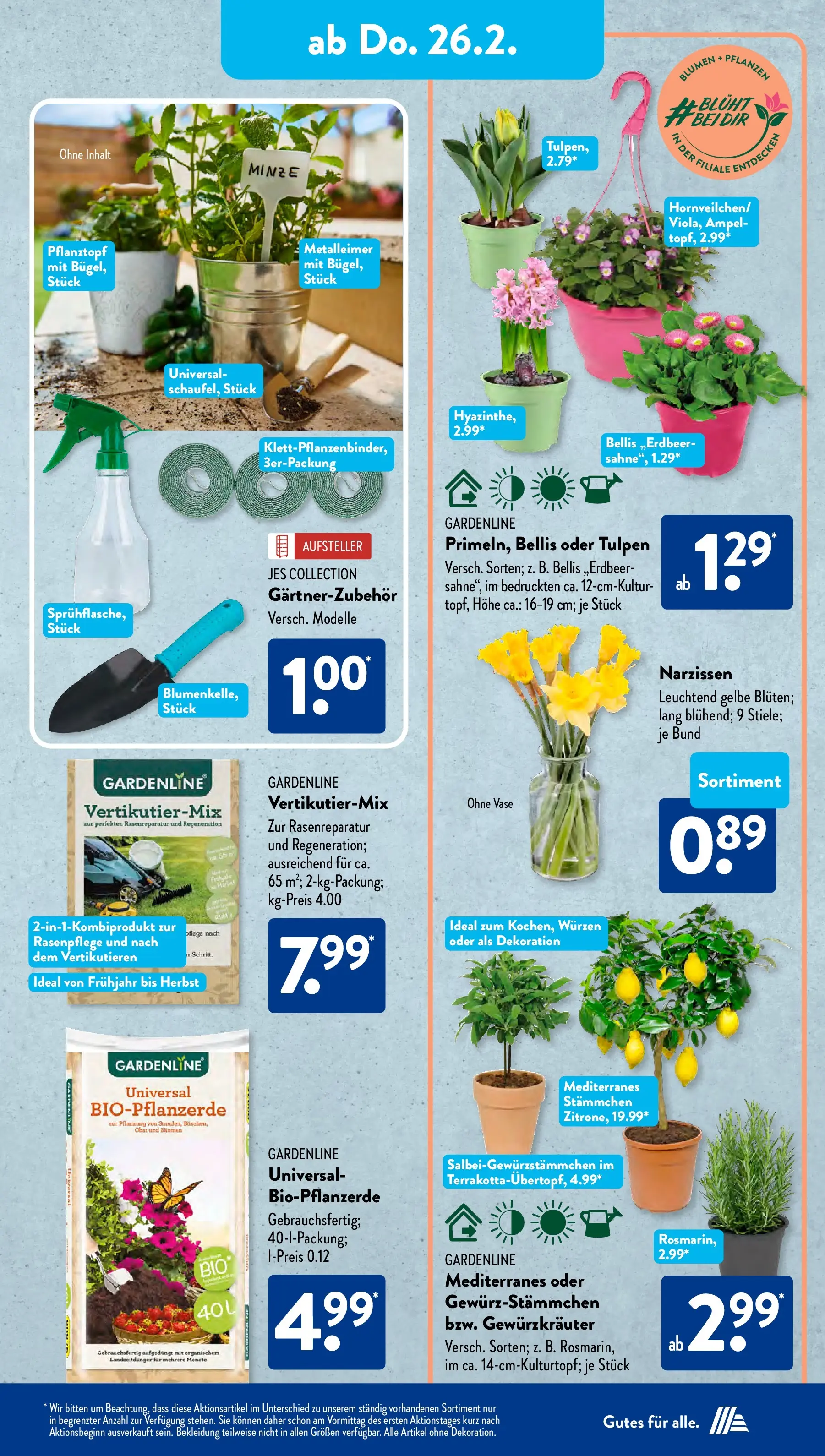 Aldi Süd Wochenangebote (ab 23.02.2026) zum Blättern | Seite: 19 | Produkte: Blumen, Vase, Bekleidung