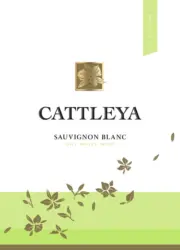 CATTLEYA Червено, Бяло вино или Розе различни сортове