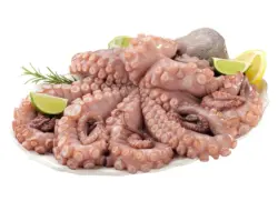 Октопод от нашата витрина