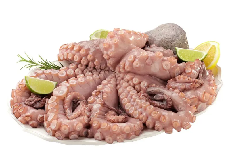 Октопод от нашата витрина