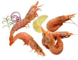 Сурови скариди 21/30 от нашата витрина