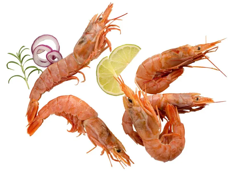 Сурови скариди 21/30 от нашата витрина