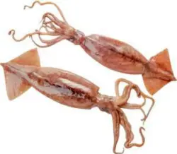 -25% отстъпка за всички продукти Риба и Рибни деликатеси от витрина с обслужване