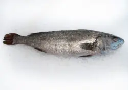 Милокоп от свежата витрина