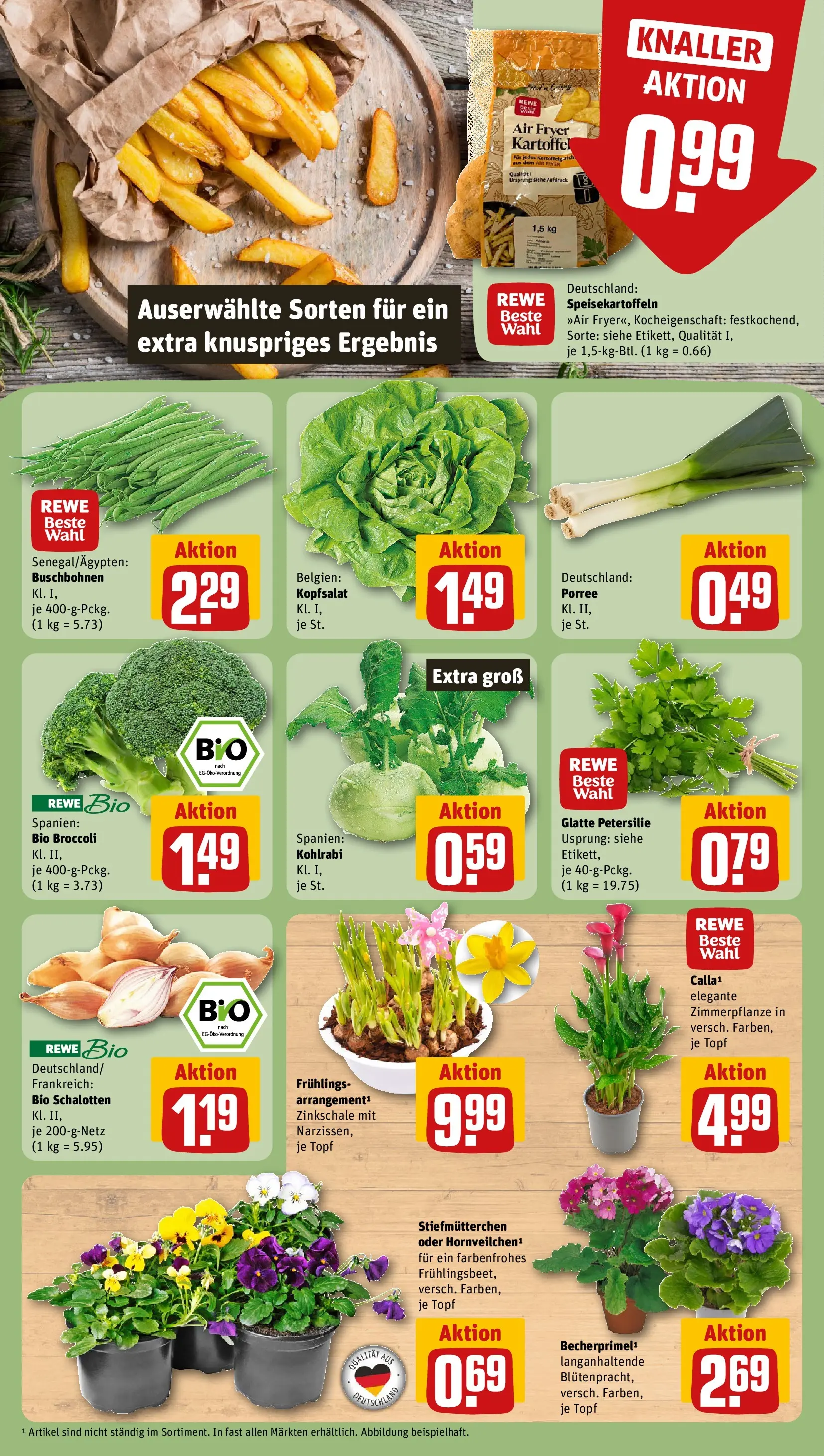 REWE Prospekt ab 22.02.2026 zum Blättern » Angebote | Seite: 7 | Produkte: Stiefmutterchen, Kohlrabi, Petersilie