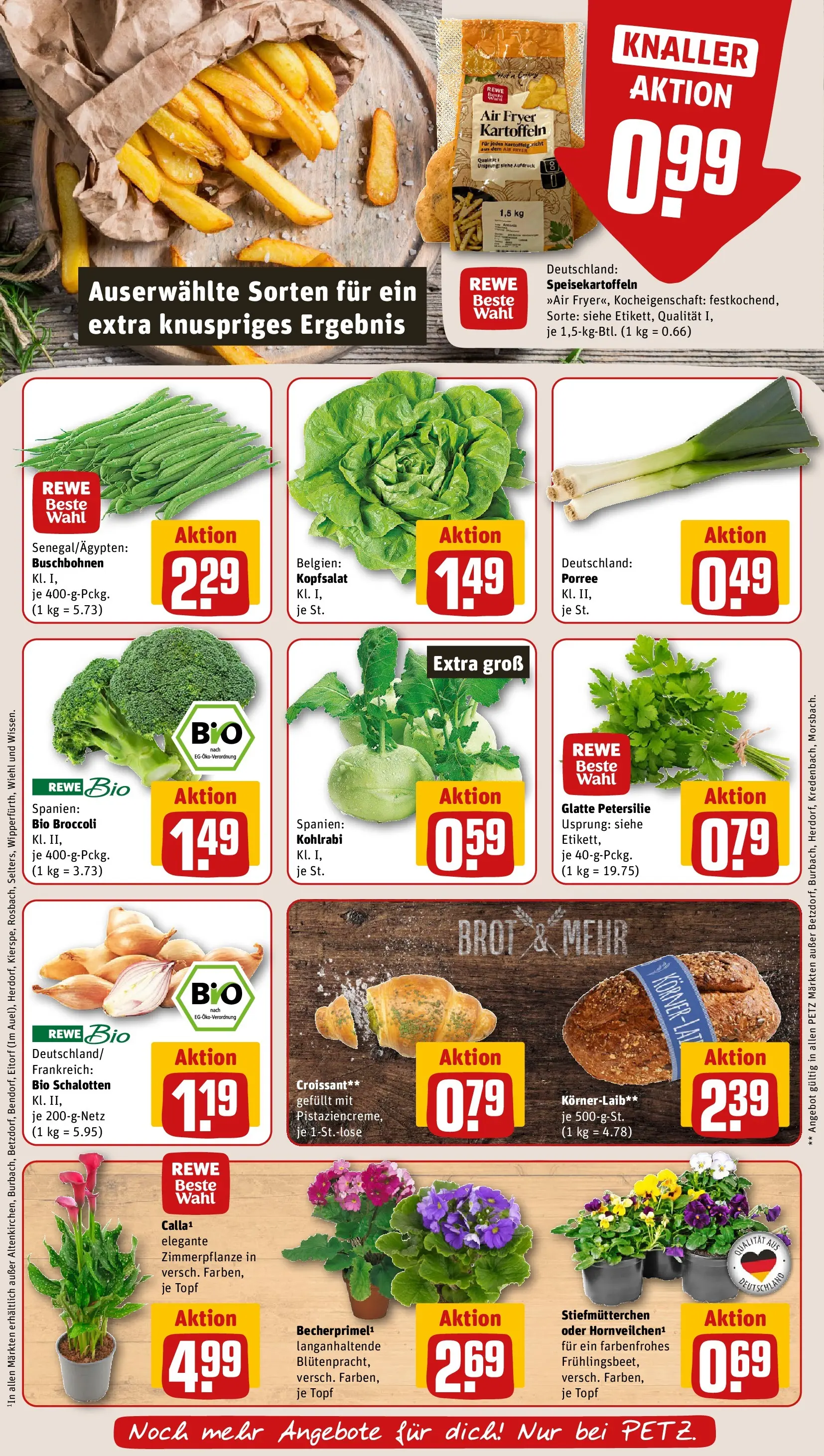 REWE Prospekt ab 22.02.2026 zum Blättern » Angebote | Seite: 7