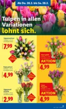 Lidl Lidl - ab 26.02.2026