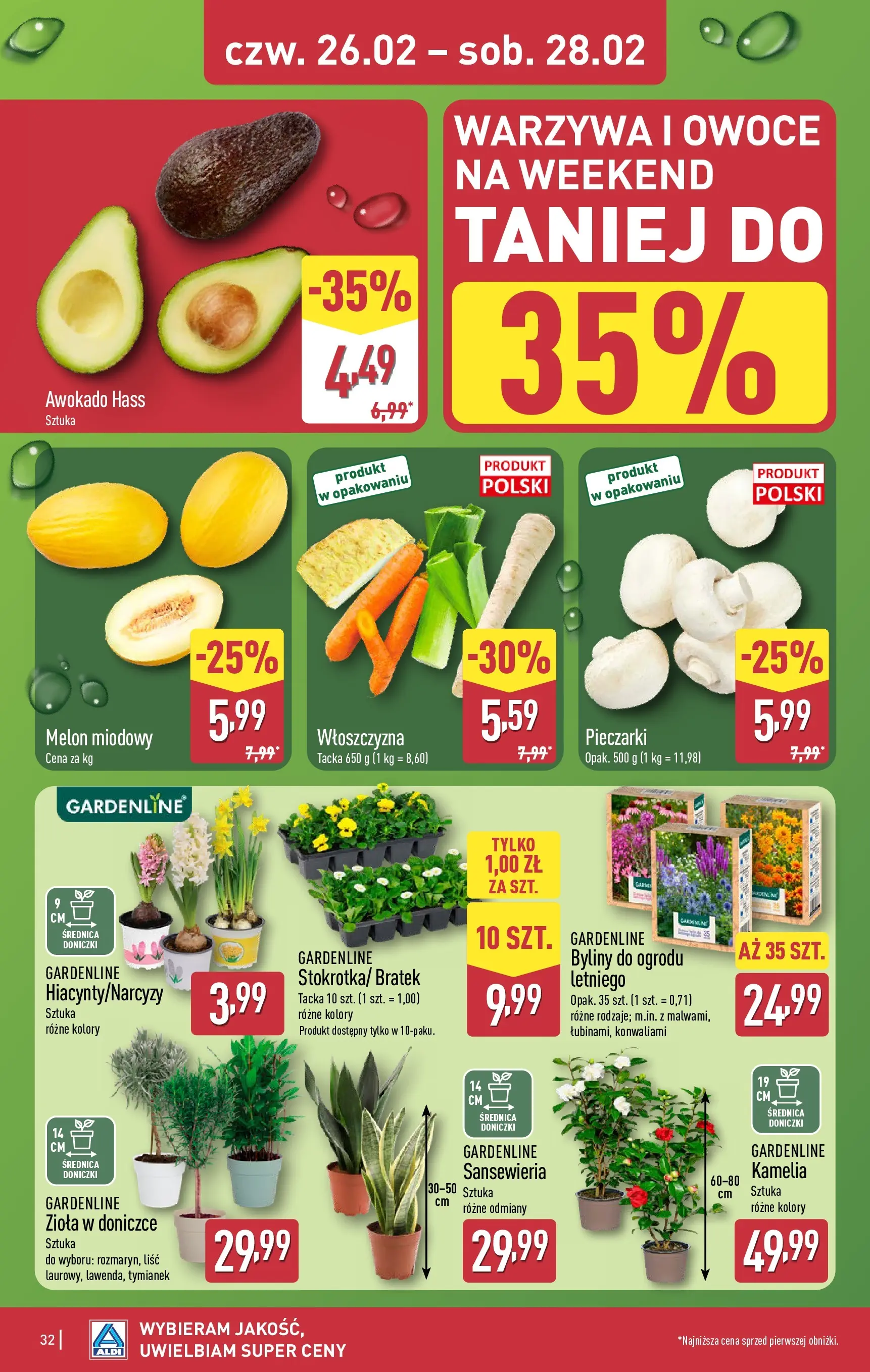 Aldi - Tanie zakupy w ALDI od 22.02.2026 - Ulotka PDF, promocje | Strona: 32 | Produkty: Pieczarki, Tymianek, Doniczki, Owoce