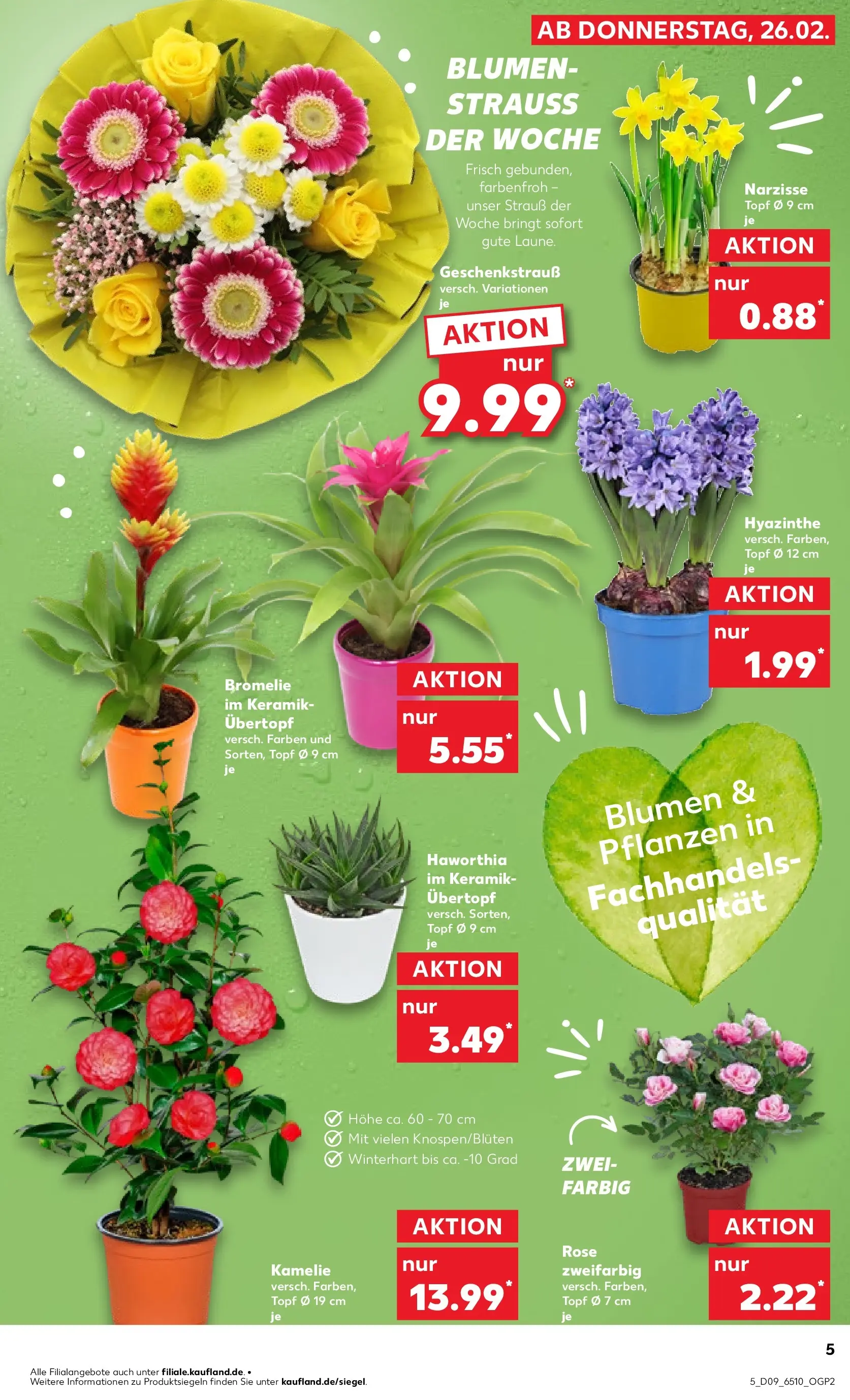 Prospekt Kaufland ab 26.02.2026 » Angebote und Werbung Online | Seite: 9 | Produkte: Blumen Prospekt Kaufland ab 26.02.2026 » Angebote Online zum Blättern | Seite: 9 | Produkte: Blumen