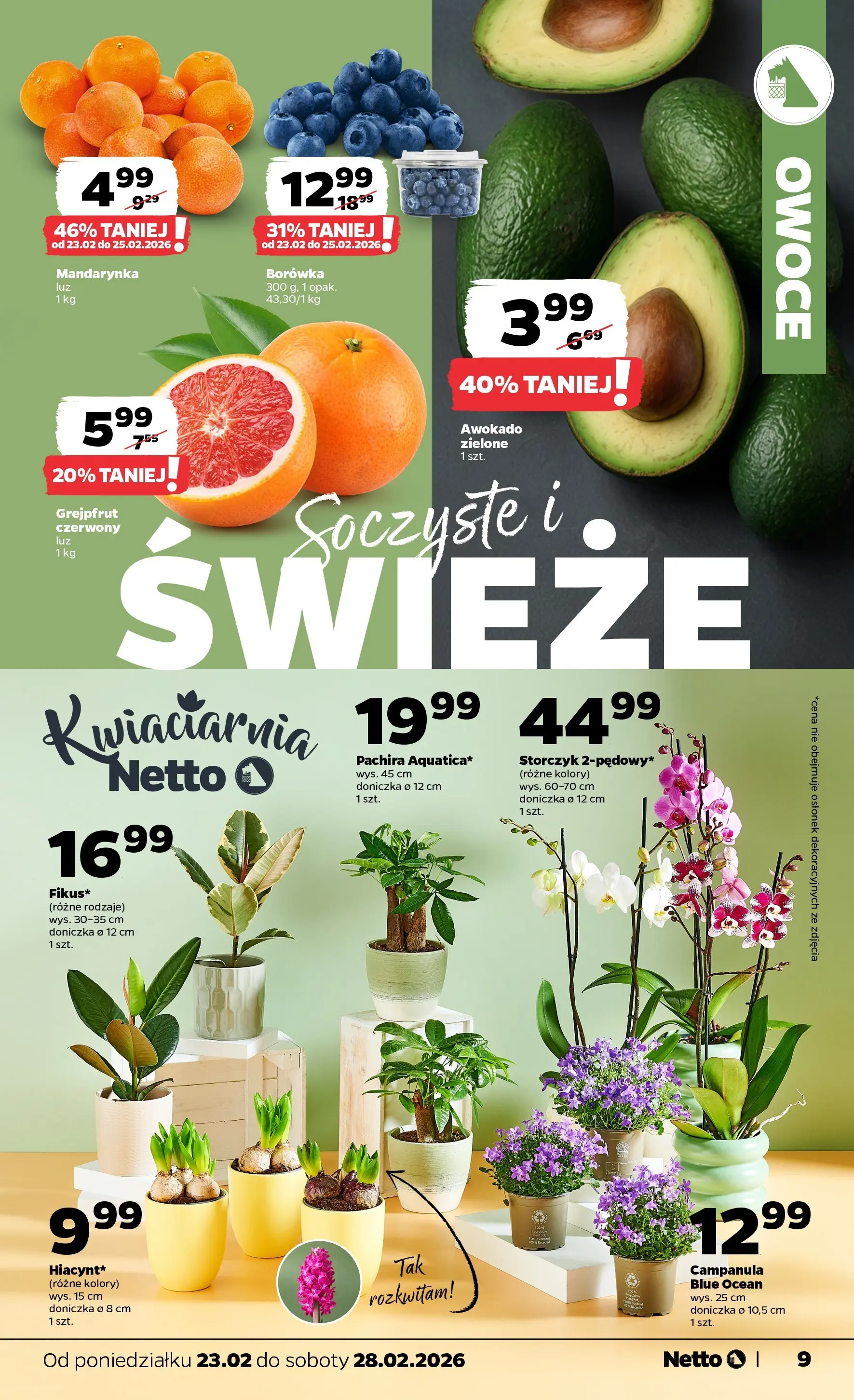 Netto - NETTO T09A ważne do 28.02.2026 od 22.02.2026 - Aktualne promocje | Strona: 9 | Produkty: Doniczka, Awokado, Grejpfrut, Owoce