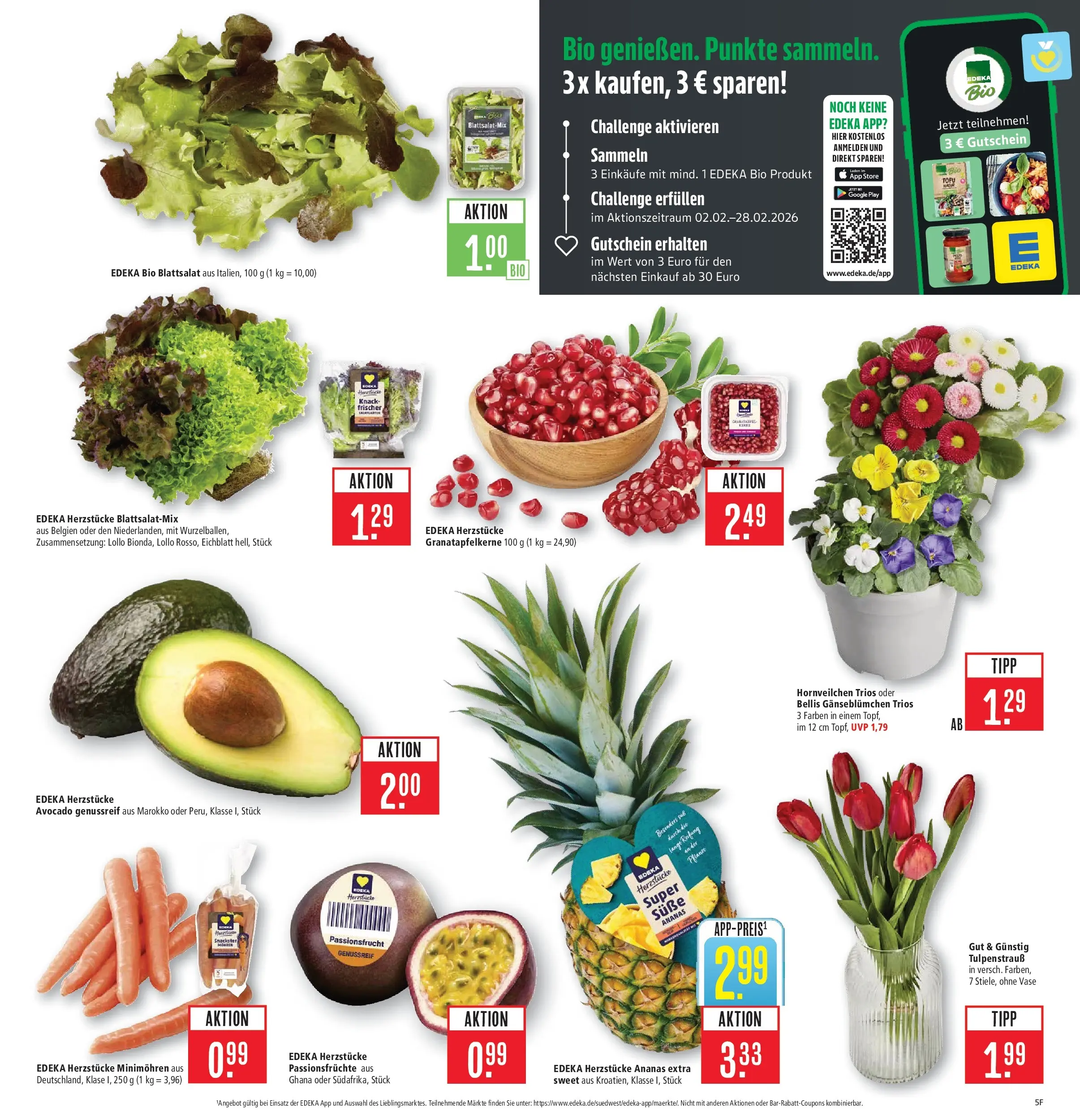 Marktkauf - Marktkauf: Wochenangebote (ab 22.02.2026) » Angebote online | Seite: 5 | Produkte: Vase, Ananas, Avocado