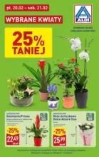 Kwiaty w ALDI Aldi &ndash; do 21.02.2026
