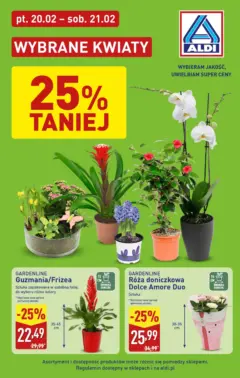 Pogląd oferty "Aldi Gazetka - Kwiaty" - ważna od 20.02.2026