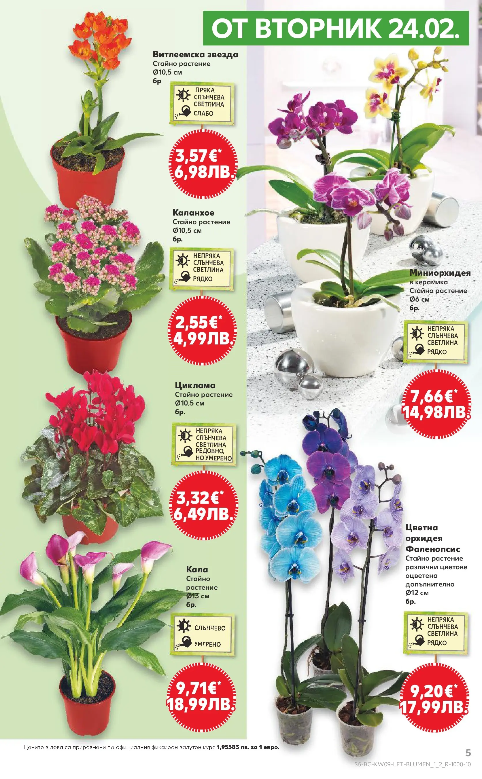 Нова Кауфланд - Искаш български вкус, получаваш български вкус в Kaufland с валидност до 01.03.2026 от 22.02.2026 | Страница: 5 | Продукти: Орхидея