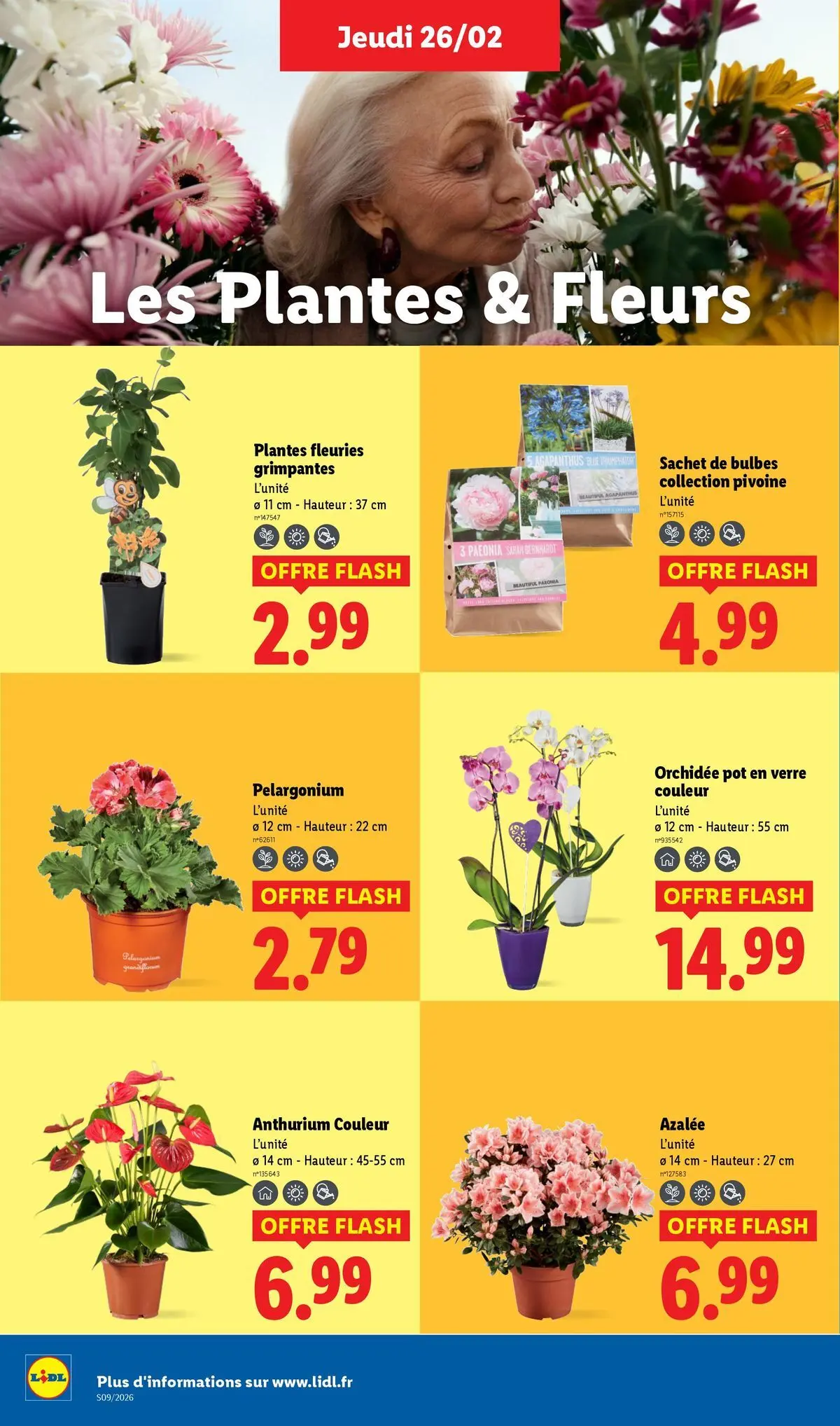 Catalogue LIDL du 25/02/2026 | Promo prospectus en ligne | Page: 28 | Produits: Plantes, Orchidée Catalogue LIDL du 25/02/2026 | Promo prospectus en ligne | Page: 28 | Produits: Plantes, Orchidée
