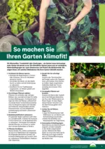 Lagerhaus Lagerhaus - Garten & Freizeit Katalog 2026 - bis 30.04.2026