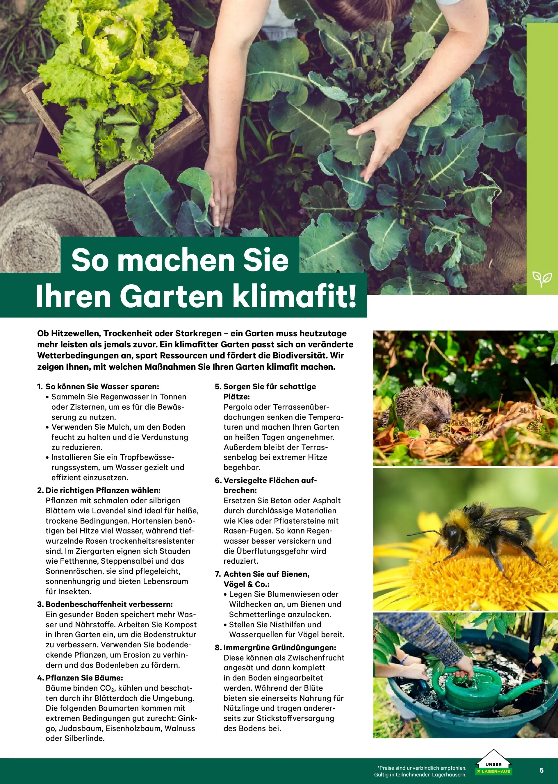 Lagerhaus Garten & Freizeit Katalog 2026 - Regau, Weyer von 01.03.2026 - Aktuelle Angebote | Seite: 5 | Produkte: Wasser