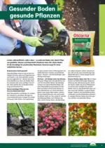 Lagerhaus Lagerhaus - Garten & Freizeit Katalog 2026 - bis 30.04.2026