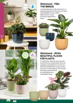 Lagerhaus Lagerhaus - Garten & Freizeit Katalog 2026 - bis 30.04.2026