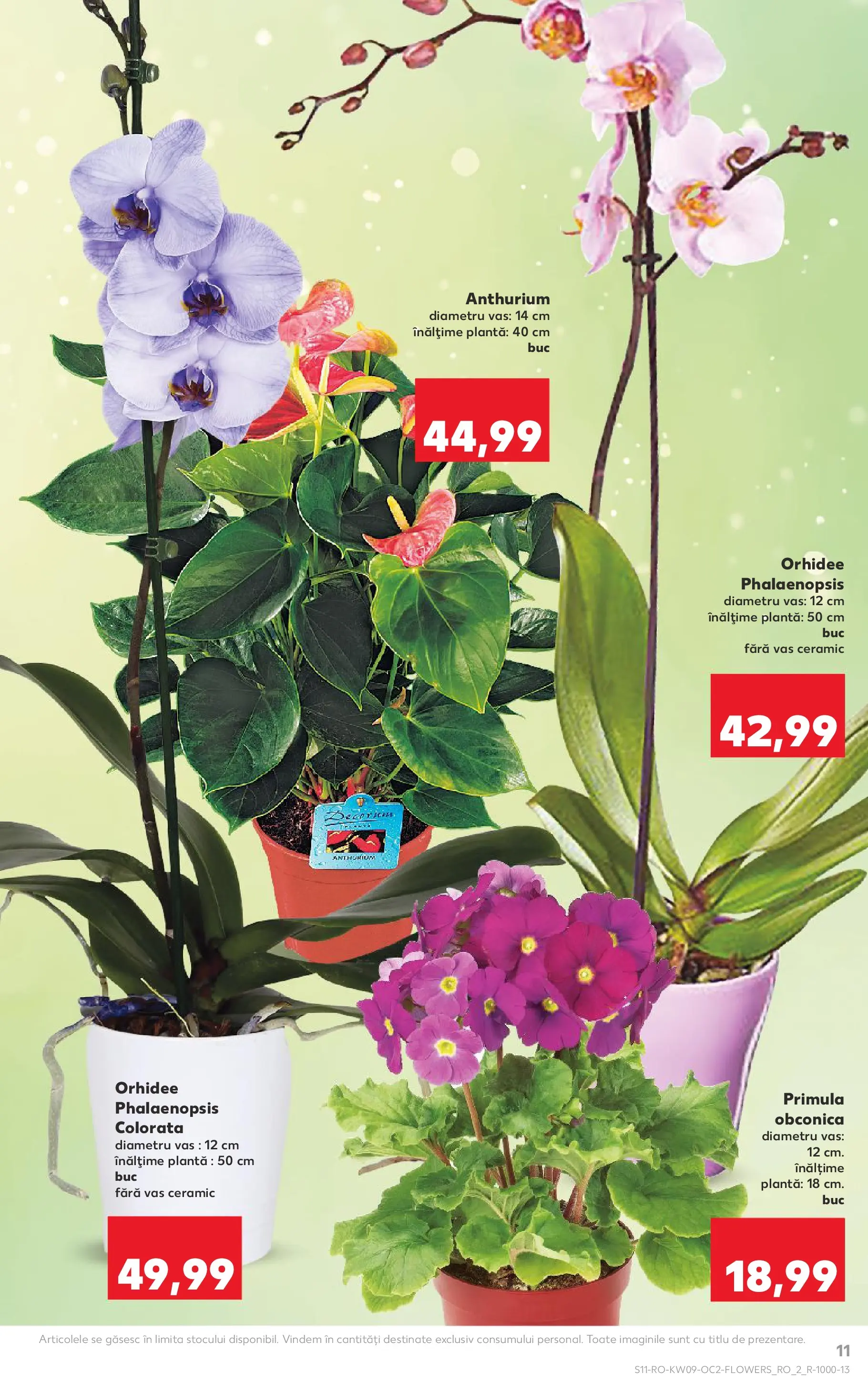 Catalog Kaufland - Domnesti 25.02.2026 - Revista si Oferta | Pagină: 11