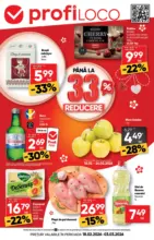 Profi Catalog Profi p&acirc;nă &icirc;n data de 03.03.2026 - p&acirc;nă la 03-03-26