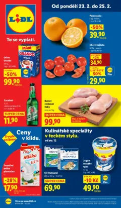 Náhled letáku Lidl - Lidl leták do 25.02.2026 od 22.02.2026