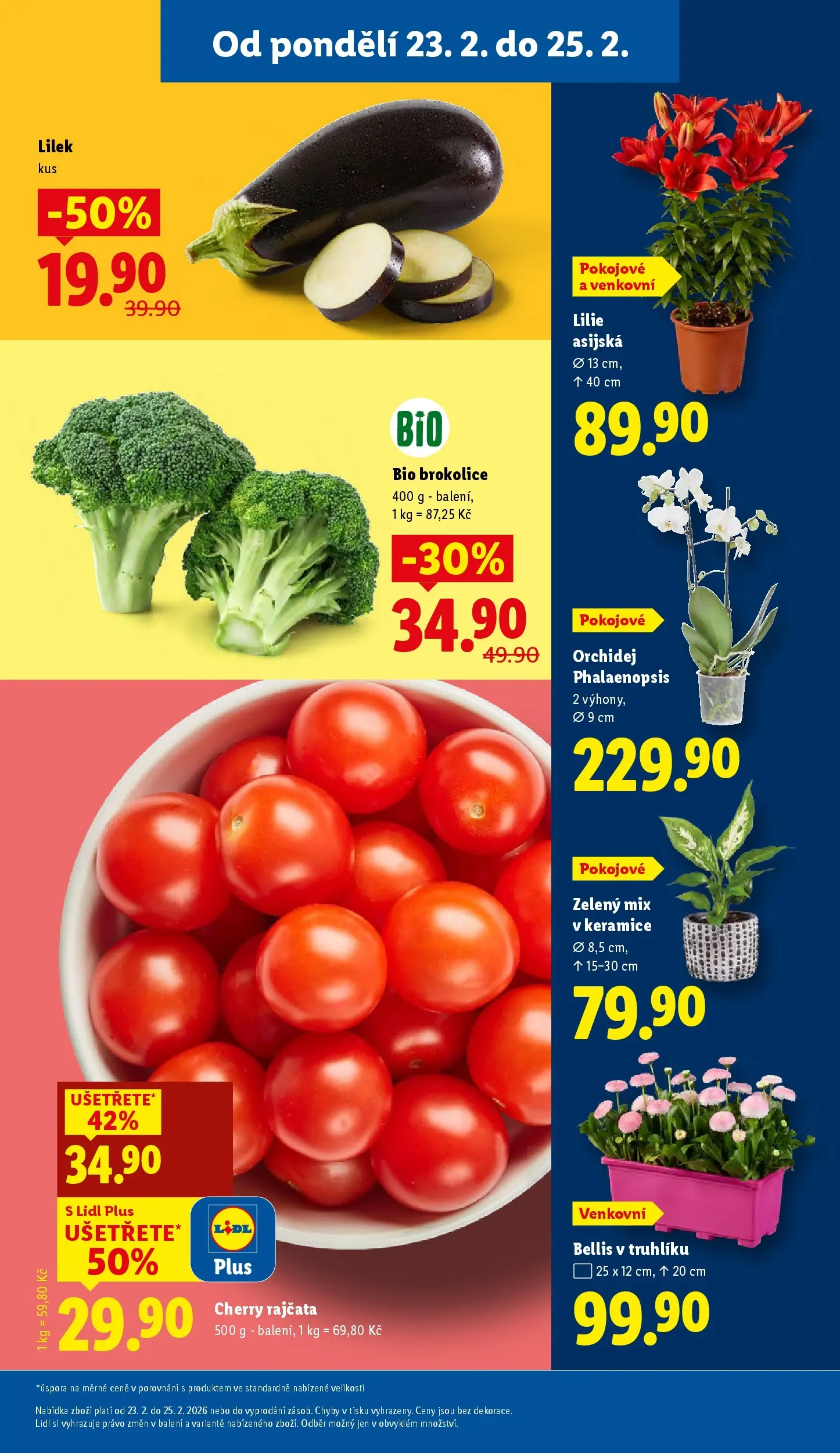 Lidl leták od 22.02.2026 - Nový akční leták | Strana: 11 | Produkty: Orchidej, Rajčata, Cherry rajčata, Brokolice