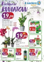 Najlepsze oferty dla wszystkich klient&oacute;w E.Leclerc &ndash; do 08.03.2026