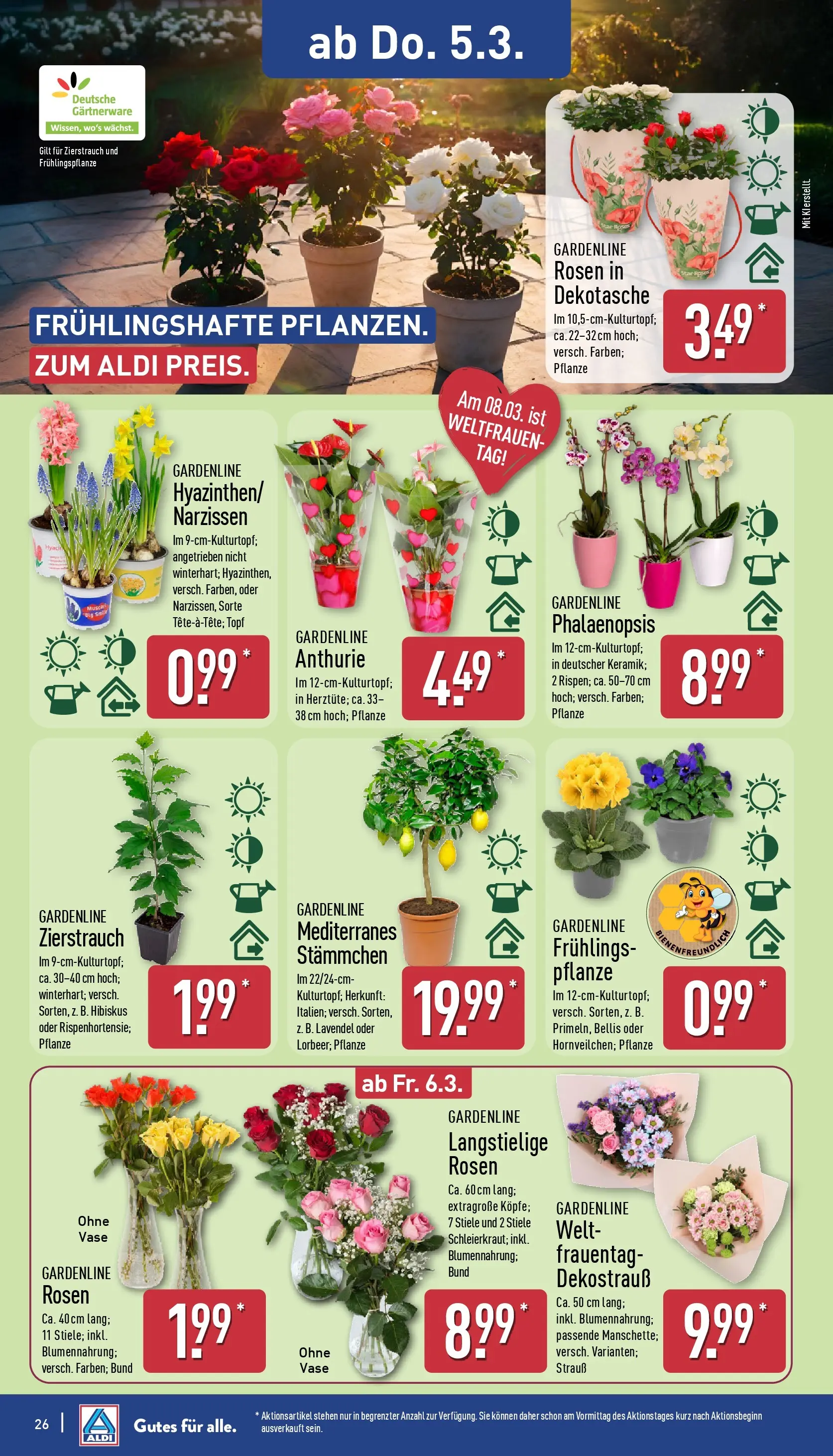 Aldi Wochenangebote (ab 02.03.2026) » Angebote Online | Seite: 31 | Produkte: Vase, Lavendel