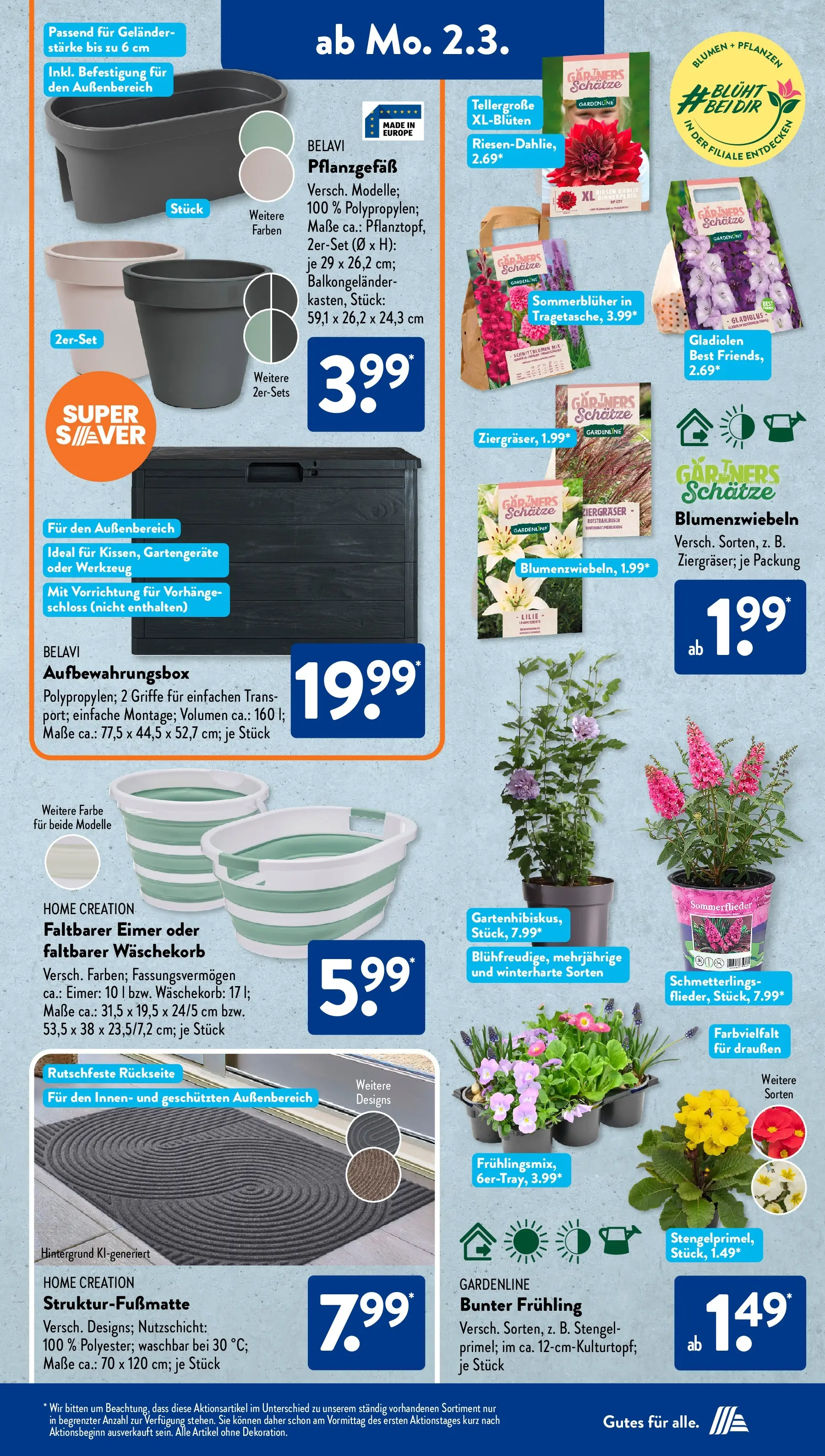 Aldi Süd Wochenangebote (ab 02.03.2026) zum Blättern | Seite: 13 | Produkte: Belavi, Blumen, Home creation