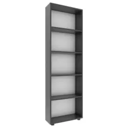 Regal 56/169/20 cm Anthrazit