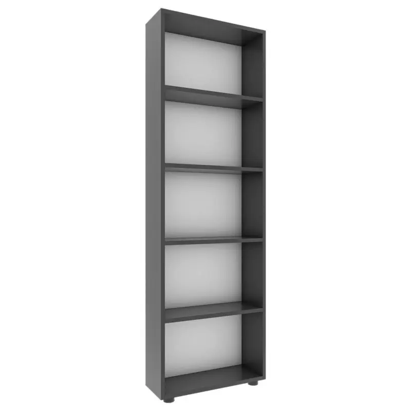 Regal 56/169/20 cm Anthrazit