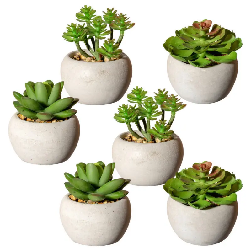 Kunstpflanze Sukkulente 6 cm