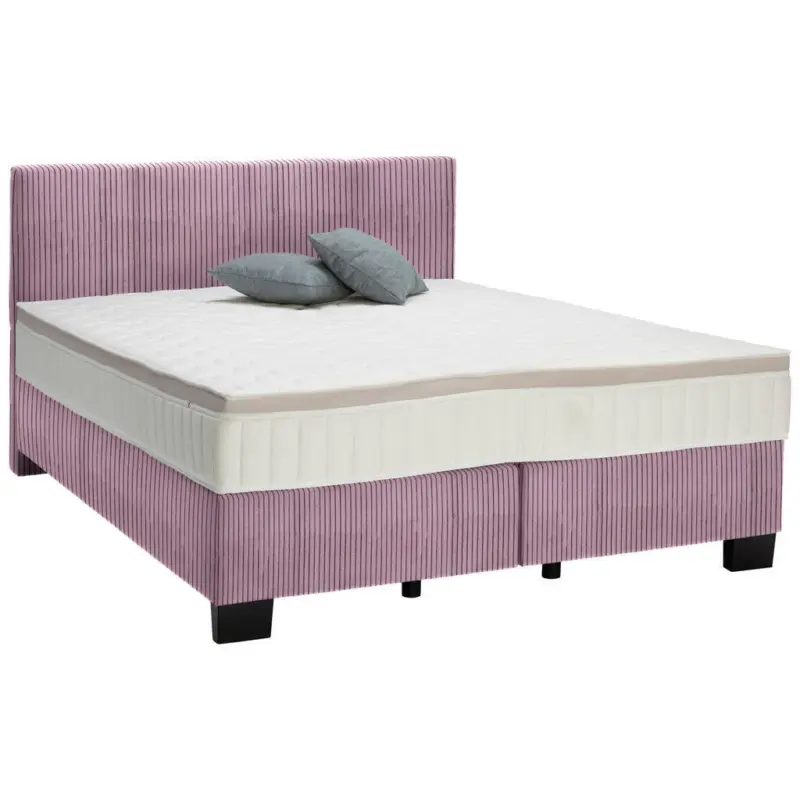 Boxspringbett 160/200 cm in Lila