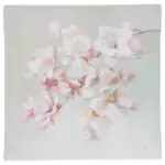 XXXLutz Lauterach - Ihr M&ouml;belhaus bei Bregenz Leinwandbild Blumen 30/30 cm