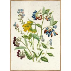 Kunstdruck 51,2/71,2 cm