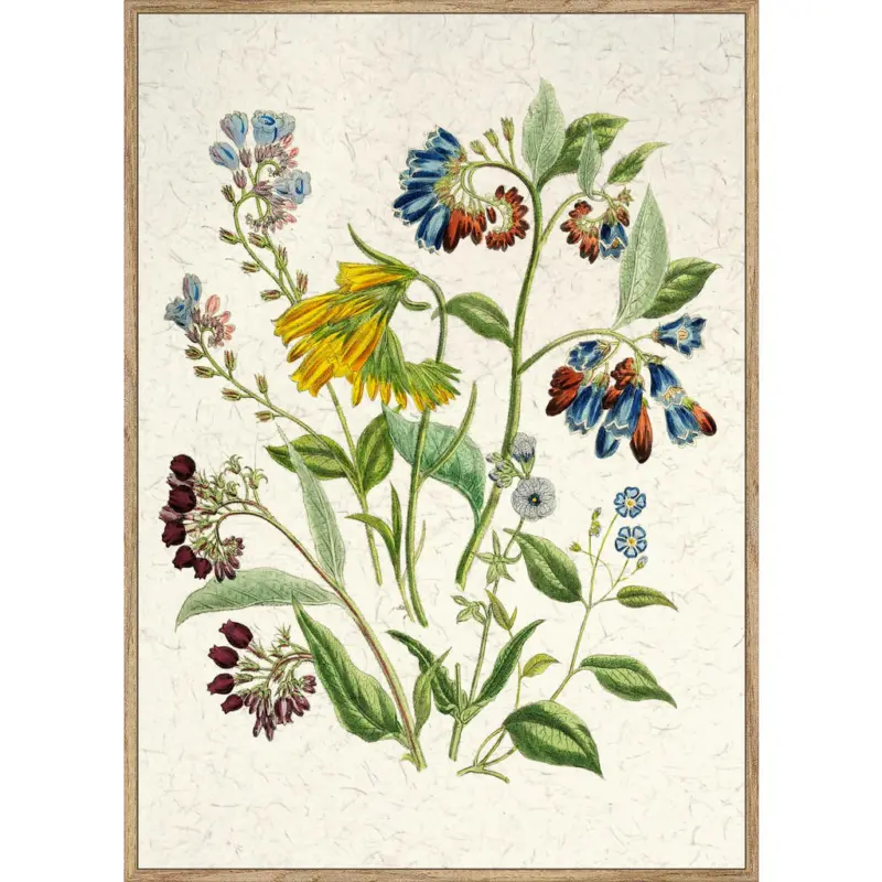 Kunstdruck 51,2/71,2 cm