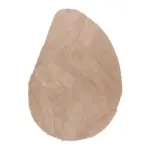 XXXLutz Lauterach - Ihr M&ouml;belhaus bei Bregenz Hochflorteppich 200/290 cm Beige