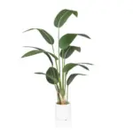 XXXLutz Lauterach - Ihr M&ouml;belhaus bei Bregenz Kunstpflanze Strelitzie